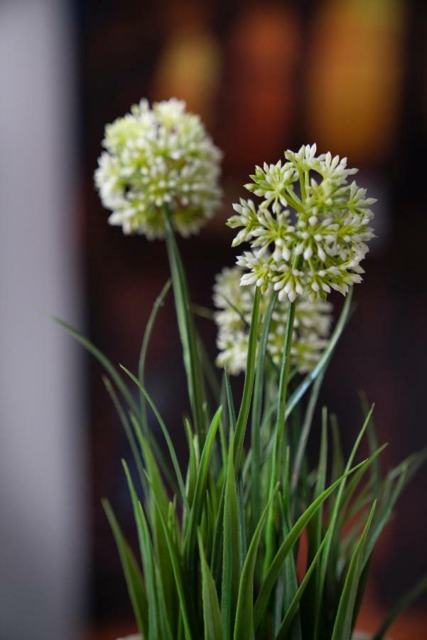 Merulana Star Gasthuis